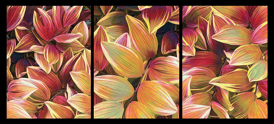 Leaves Triptych Mixed Media by Ann Powell