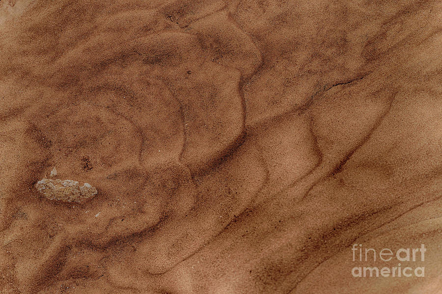 Lubbock Photograph - Leaving It At The Sea by Natural Abstract