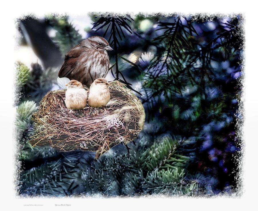 Leaving the Nest Digital Art by Norman Brule