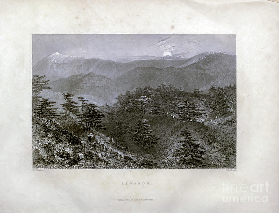 Lebanon landscape - 1840 t1 Photograph by Historic illustrations