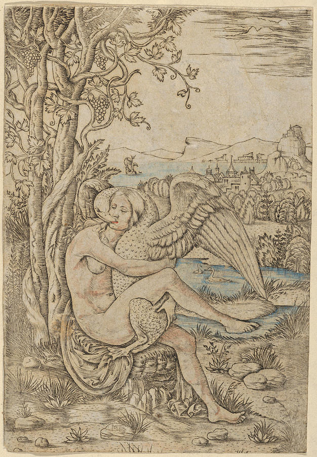 Leda and the Swan set in a landscape  Drawing by Giovanni Battista Palumba