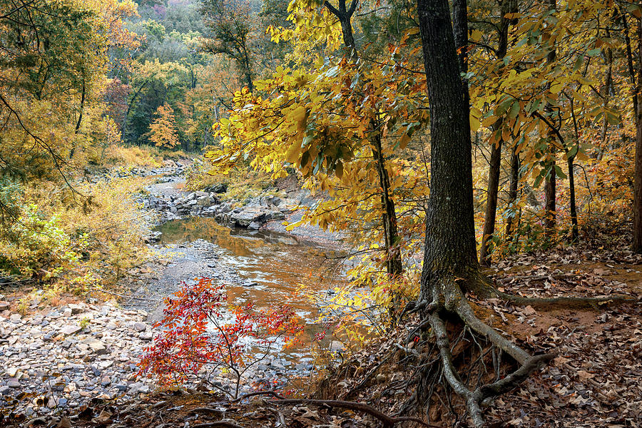 Lee Creek at Devils Den State Park Photograph by James Barber
