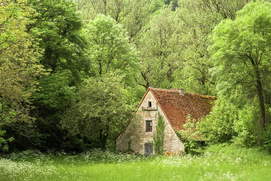 Left to nature, The Lot, France Photograph by Sarah Howard