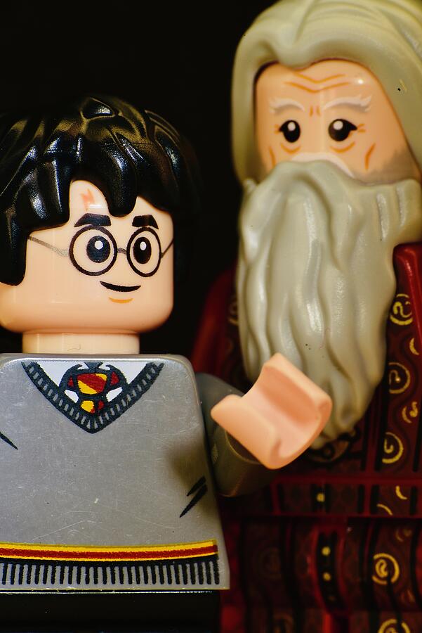 Lego Harry Potter With Albus Dumbledore Photograph