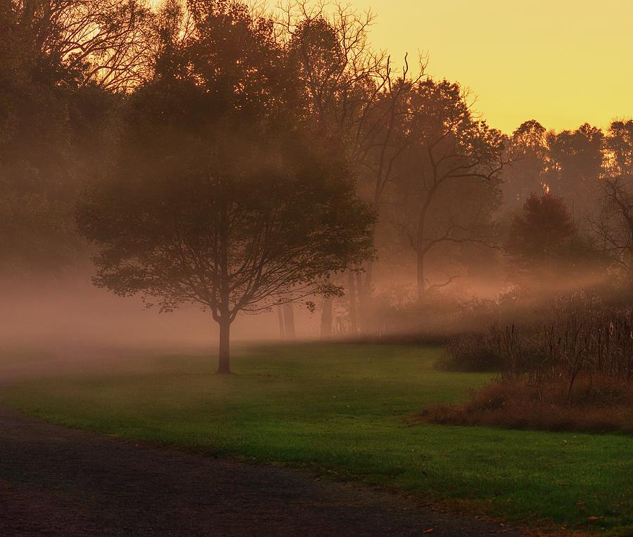 Lehigh Parkway South Fog at Sunset Photograph by Jason Fink