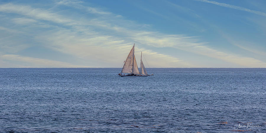 Leisurely Sailing Photograph by Aaron Burrows