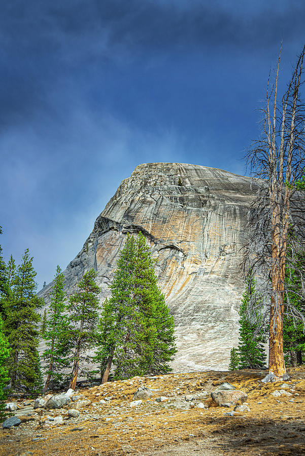 Lembert Dome Yosemite  Photograph by Janis Knight