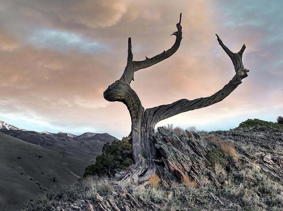 Nature Photograph - Lemhi Mountain Textures Idaho by Leland D Howard
