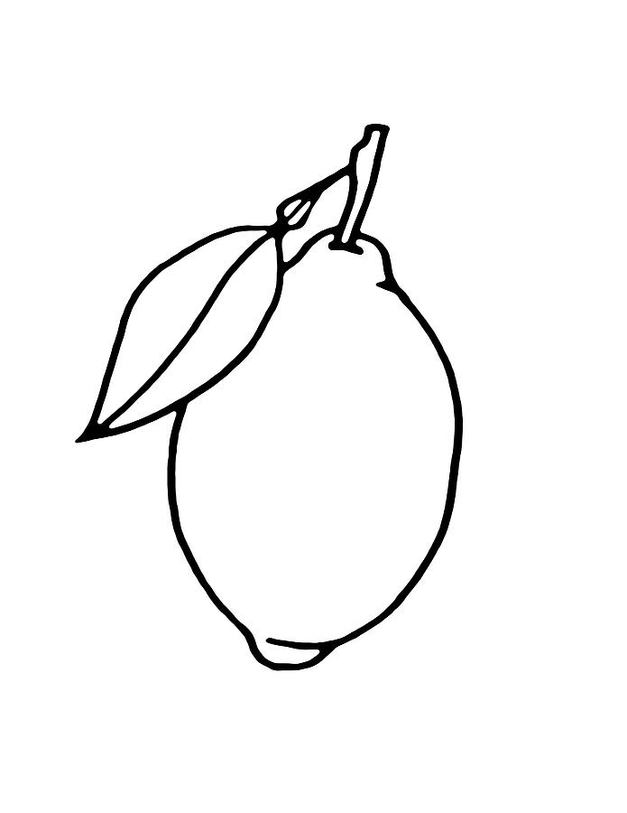 Lemon 1 Drawing by Masha Batkova