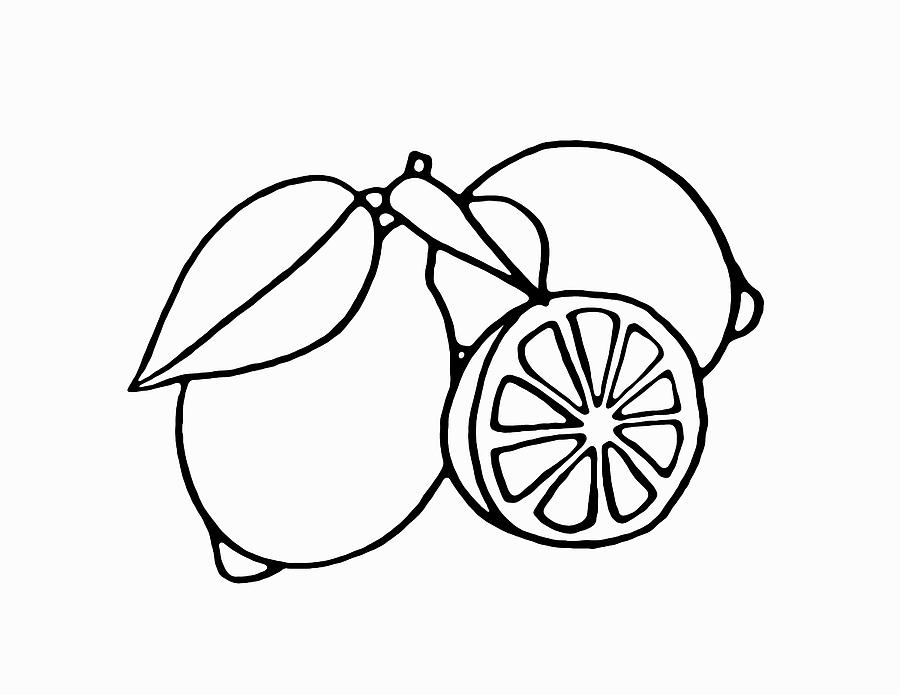 Lemon 2 Drawing by Masha Batkova
