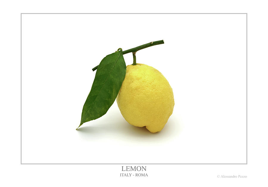Lemon Photograph by Alessandro Pezzo