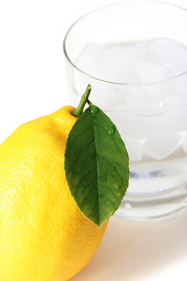 Lemon and Glass with Ice Photograph by Masha Batkova
