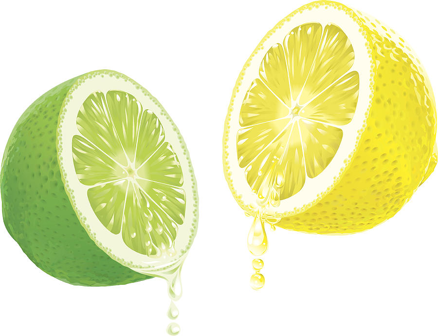 Lemon and Lime with dripping Juice Drawing by AlexvandeHoef
