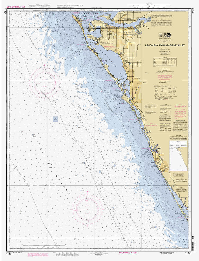 Lemon Bay to Passage Key Inlet Florida NOAA Chart 11424 Digital Art by ...