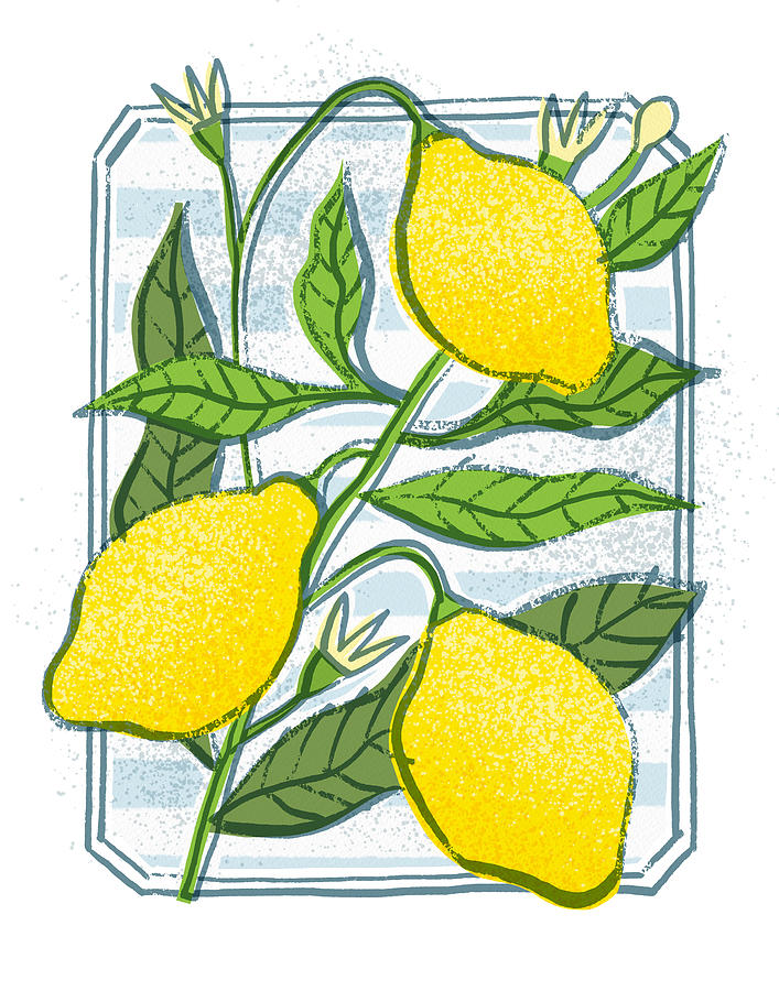 Lemon Bistro Citrus Botanical Art - Art by Jen Montgomery Painting by Jen Montgomery