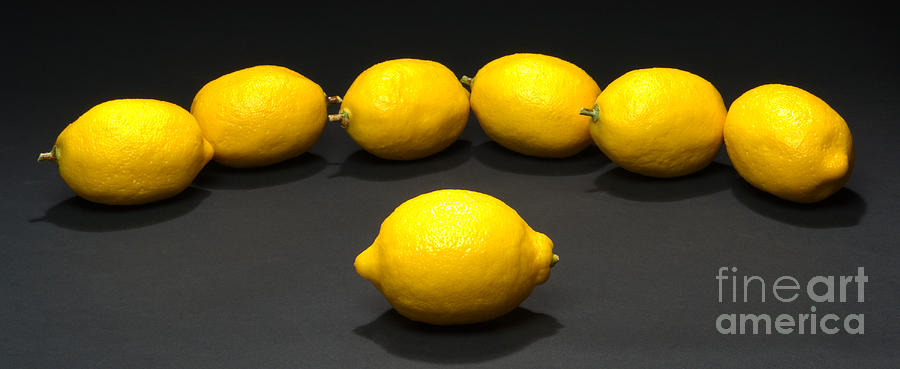 Lemon Chorale Photograph by Olivier Le Queinec