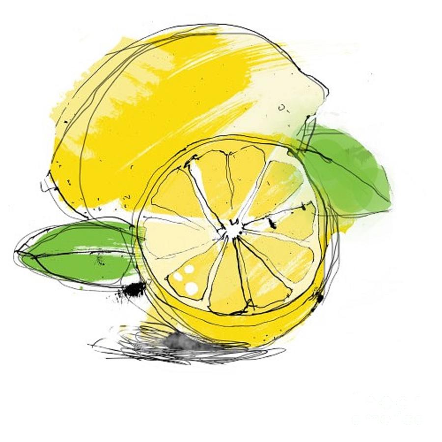 Lemon - drawing Painting by Vesna Antic