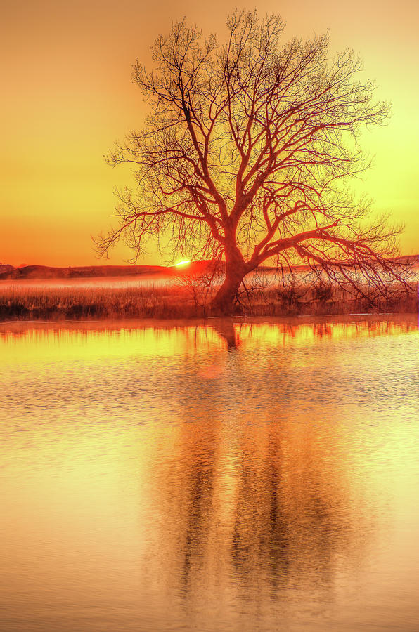 Lemon Fishing Hole Sunrise Photograph by Fiskr Larsen