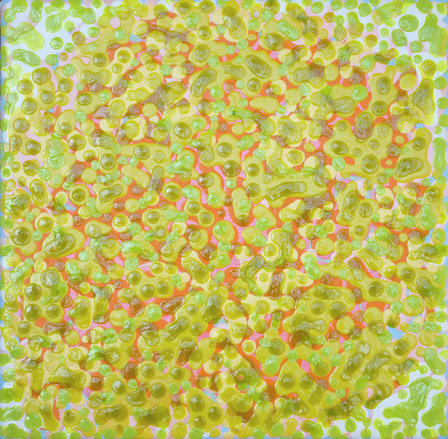 Lemon Lime Painting by Claire Desjardins