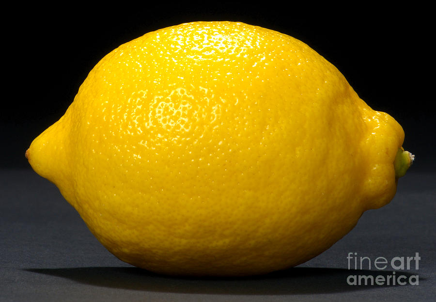 Lemon Photograph by Olivier Le Queinec