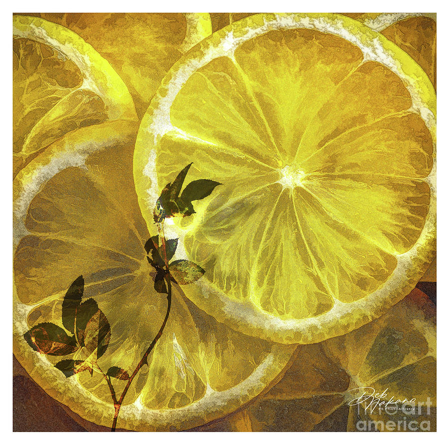 Lemon Slices Digital Art by Deb Nakano