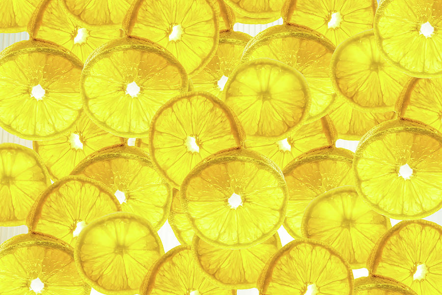 Lemon Slices Photograph by Sharon Popek
