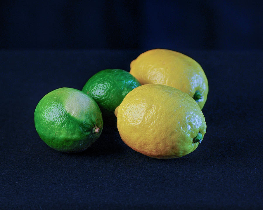 Lemons and limes Photograph by Cordia Murphy