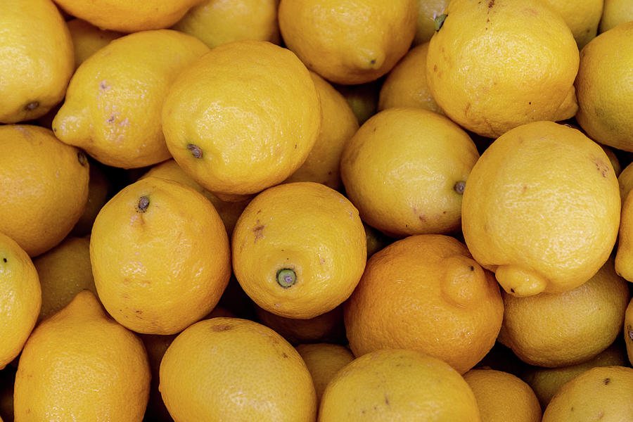 Lemons at a Market Photograph by Bradford Martin