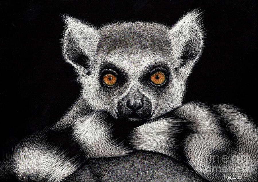 Lemur Love Drawing by Sheryl Unwin