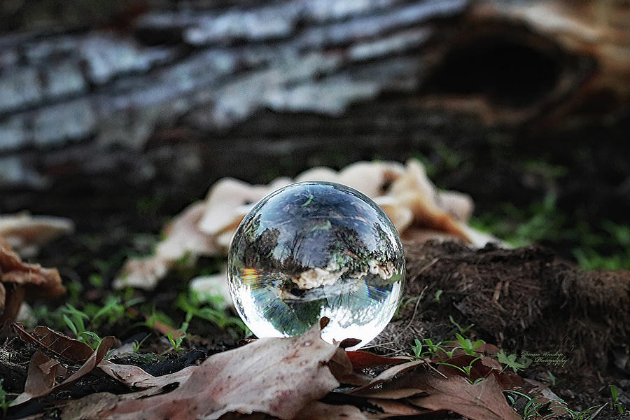 Lens Ball on the Earth Photograph by Denise Winship