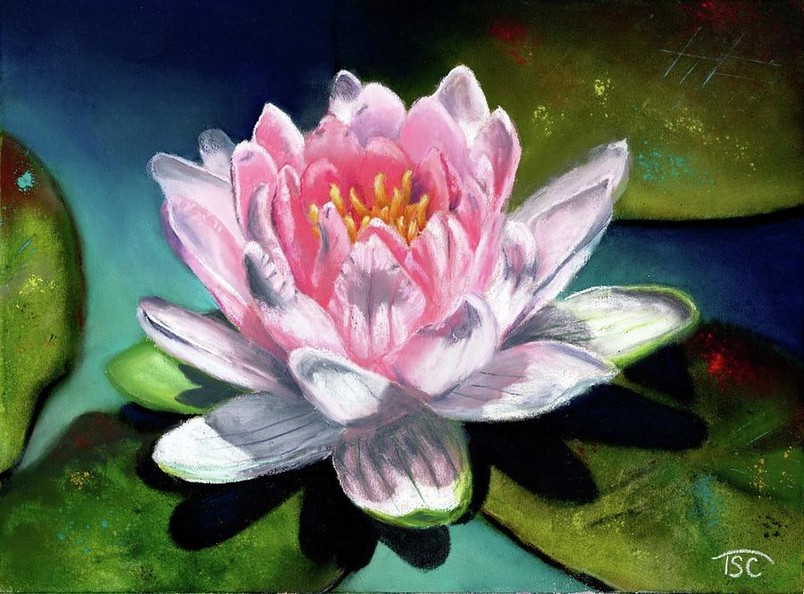 Lens Pink Lily No 1 Painting by Tammy Crawford