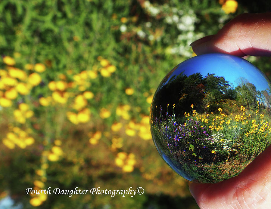 Lensball Flowers Photograph by Diane Shirley