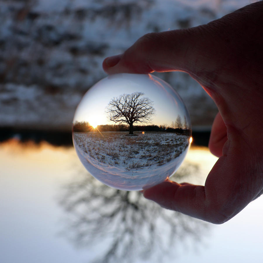 Lensball Tree at Sunset Flipped Photograph by David T Wilkinson