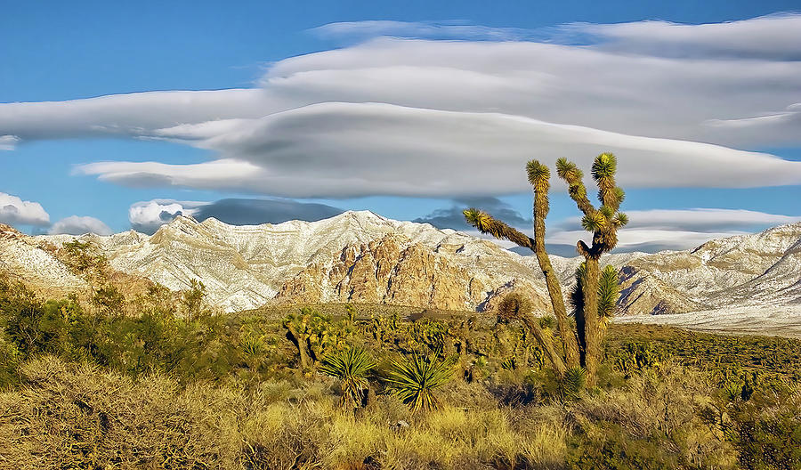 Lenticular Cloud Red Rock Canyon Photograph by Michael W Rogers