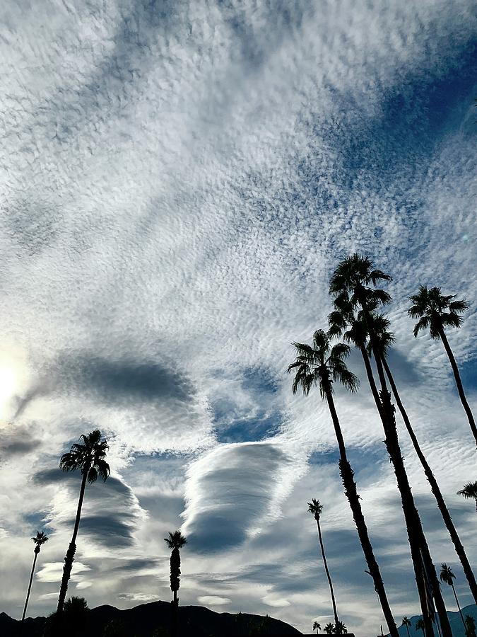 Lenticular Clouds  and Palms over Palm Springs Photograph by Matthew Bamberg