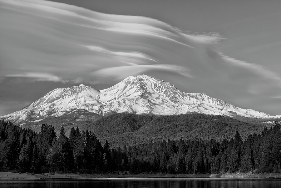 Lenticular Layers in Black and White Photograph by Loree Johnson