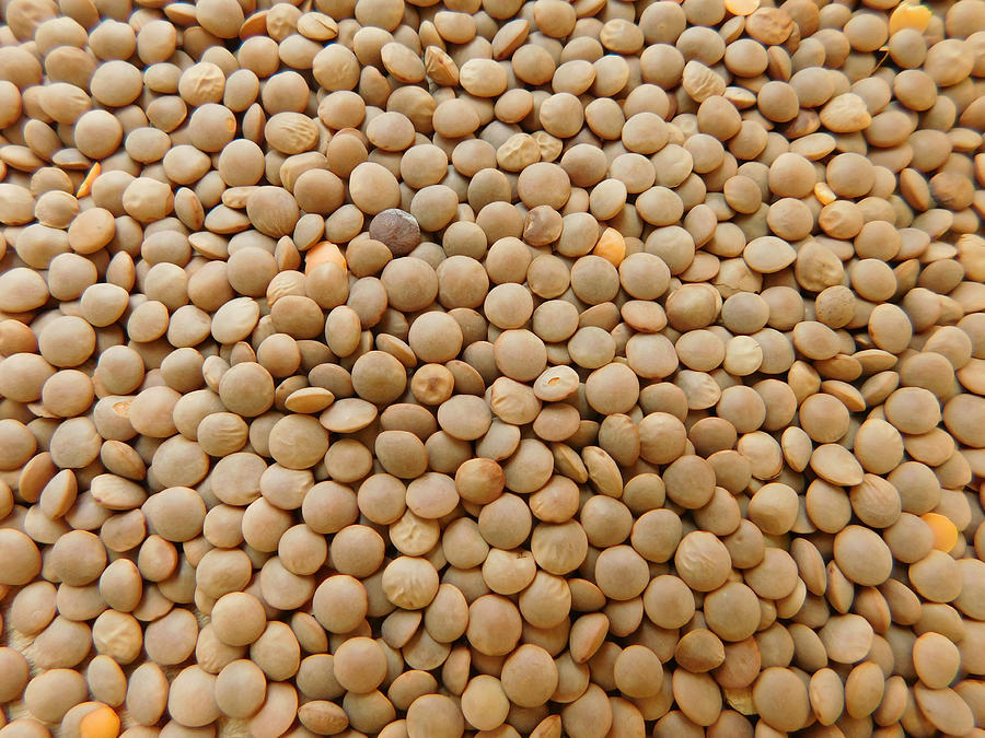 Lentils To Eat Photograph by Marcotrapani