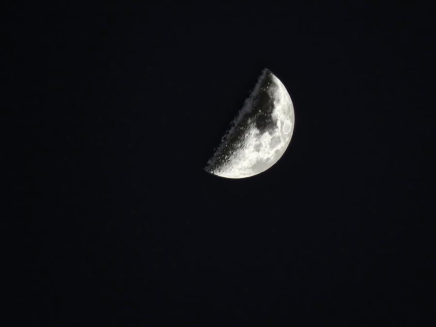Leo Half Moon Photograph by Judy Kennedy