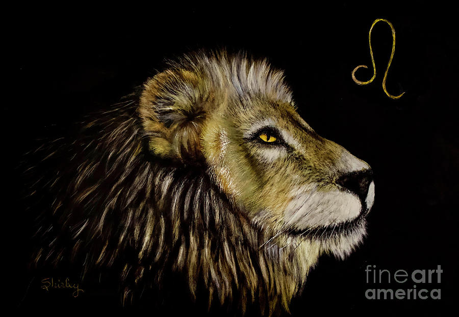 Leo the Lion Drawing by Shirley Dutchkowski
