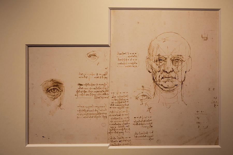 Leonardo da Vinci drawings on handmade cotton paper, vintage bac ...