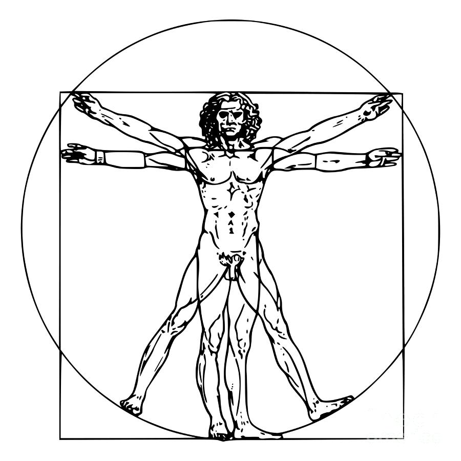 Leonardo da Vinci inspired Vitruvian Man Painting by Treasured Art ...