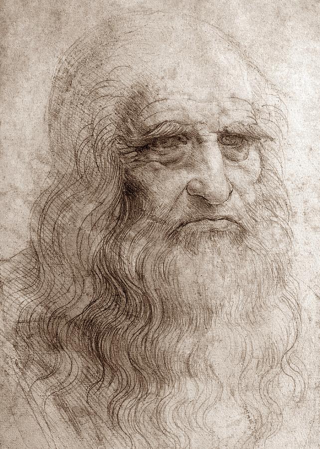 Leonardo Da Vinci, Self Portrait Drawing by Leonardo Da Vinci - Fine ...