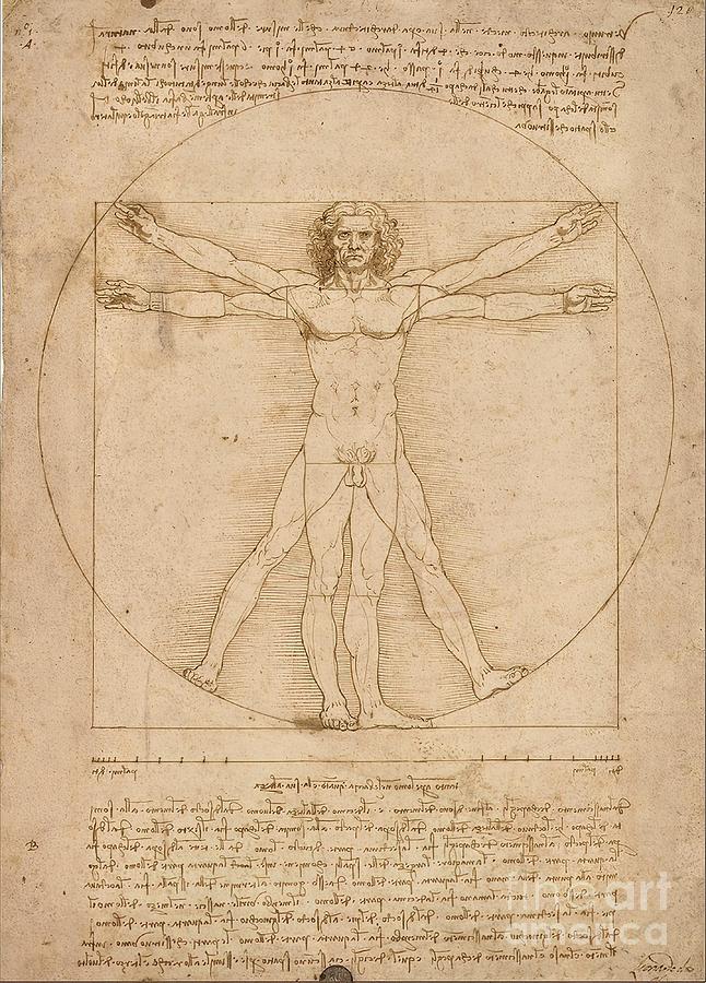 Leonardo da Vinci Vitruvian Man 1490 Painting by Bailey Matthews - Pixels