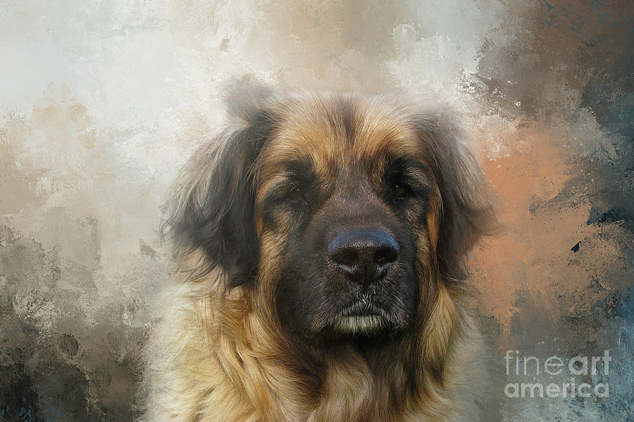 Dog Photograph - Leonberger Dog Portrait Two by Elisabeth Lucas
