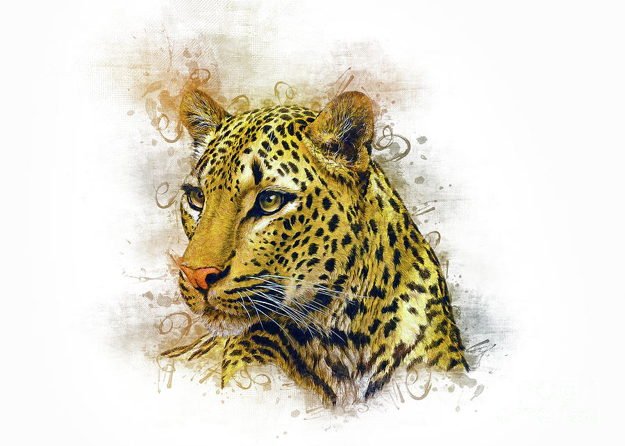 Leopard Art Digital Art
