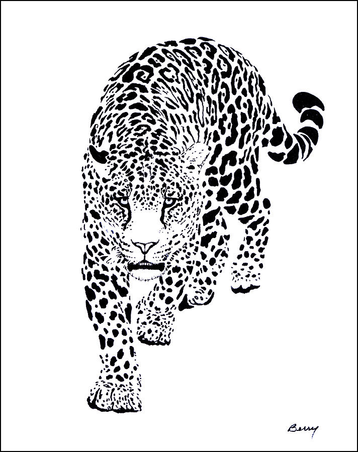 Leopard black and white Painting by Charles Berry