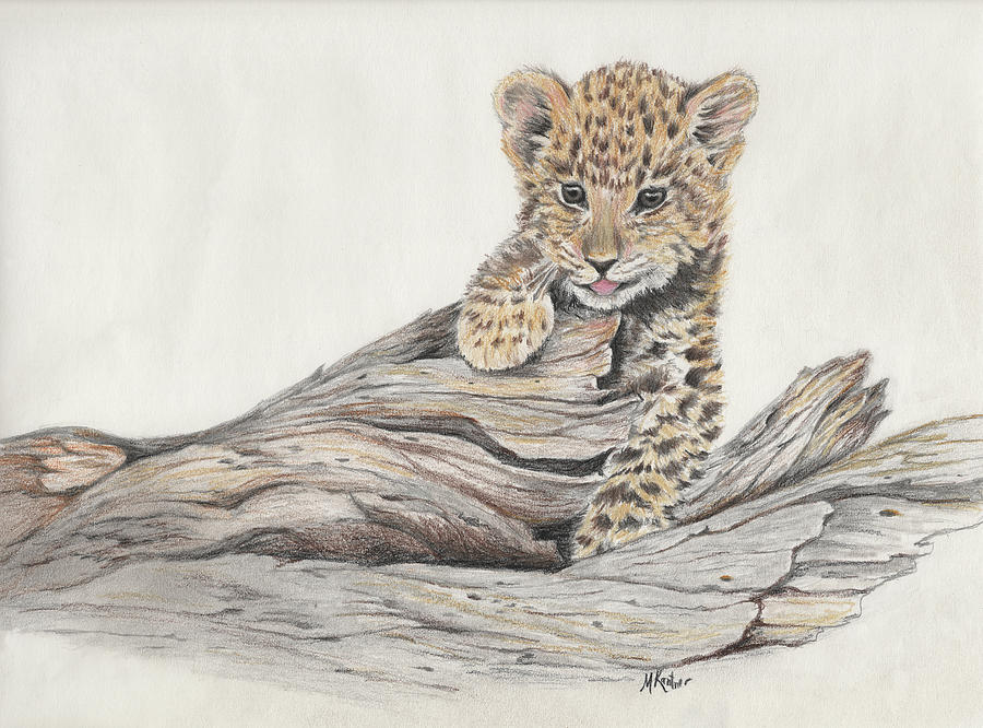 Leopard Cub on a Log Drawing by Melodie Kantner