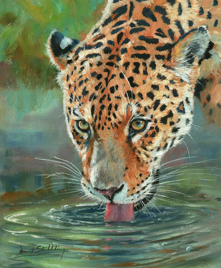 Leopard Drinking Painting by David Stribbling
