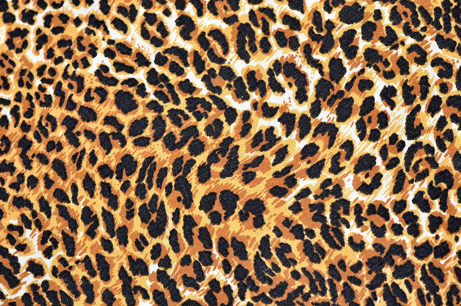 Leopard Fur As Background Digital Art by Herbert | Fine Art America