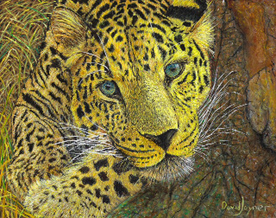 Leopard Gaze Painting by David Joyner